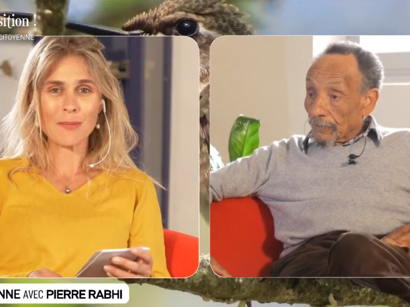 Le Web Sonne avec Pierre Rabhi